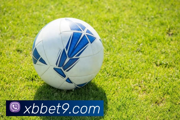 新币娱乐官网APP 封面图